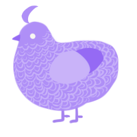 Lilac xxx, a lilac chicken with a double-lace pattern