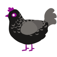menderman, a sable and grey chicken with a half-lace pattern