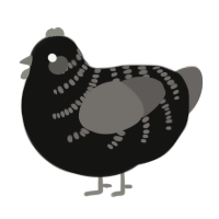 A black and grey chicken with a half-bar pattern