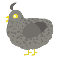 (unnamed), a ash and grey chicken with a speckle pattern