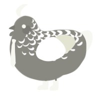 Clay, a ash and white chicken with a half-lace pattern