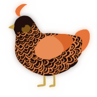 A black and vermilion chicken with a double-lace pattern