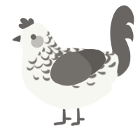 Grey Lace, a white and grey chicken with a half-lace pattern