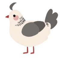 A cream and grey chicken with a neck-band pattern