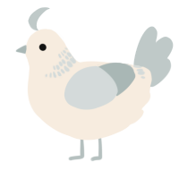 A cream and silver chicken with a neck-band pattern