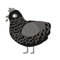A sable and grey chicken with a lace pattern