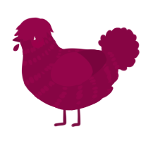 Mars, a maroon chicken with a bar pattern