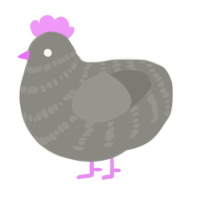 A ash chicken with a bar pattern