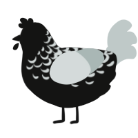 A black and silver chicken with a half-lace pattern