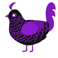Elora, a black and violet chicken with a lace pattern