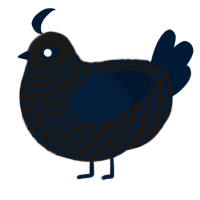 (unnamed), a sable and tumblr chicken with a lace pattern