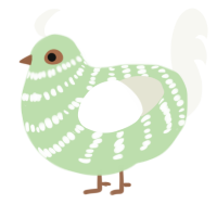 A gluppy and white chicken with a bar pattern