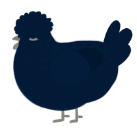 (unnamed), a tumblr chicken with a half-lace pattern