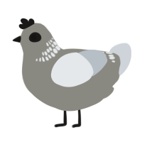 A ash and mist chicken with a neck-band pattern