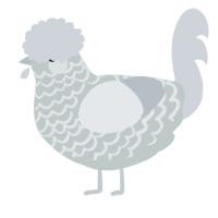 Rolling Fog, a silver and mist chicken with a lace pattern