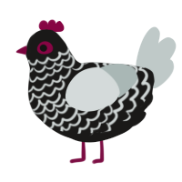 A sable and silver chicken with a lace pattern