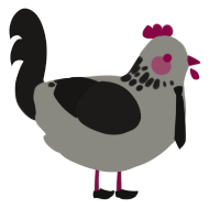 Bazett, a ash and sable chicken with a neck-speckle pattern