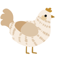 hall, a cream and beige chicken with a bar pattern