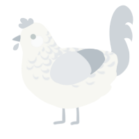 Mist Lace, a white and mist chicken with a half-lace pattern