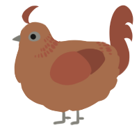 Orange, a brown and russet chicken with a neck-band pattern