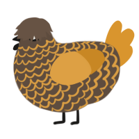 Peanut Butter Cups, a bark and orange chicken with a lace pattern