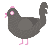 Burnttttt, a grey chicken with a lace pattern