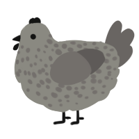 Grayscale, a ash and grey chicken with a speckle pattern