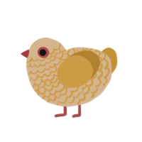 A beige and gold chicken with a lace pattern