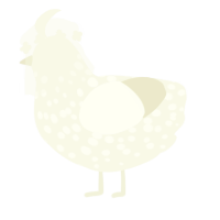Flour, a white chicken with a speckle pattern