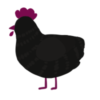 A black and sable chicken with a bar pattern