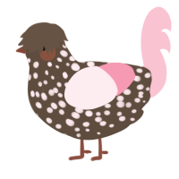 A bark and rose chicken with a speckle pattern