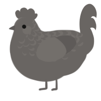 A grey chicken with a half-lace pattern