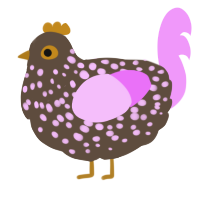 A bark and lavender chicken with a speckle pattern