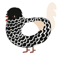 A black and cream chicken with a lace pattern