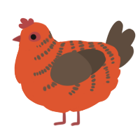Valentina, a vermilion and bark chicken with a half-bar pattern