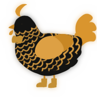 Echo, a black and orange chicken with a lace pattern