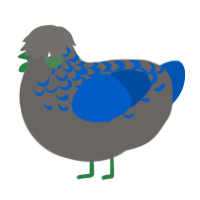 A grey and ultramarine chicken with a half-lace pattern
