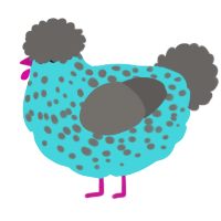 A aqua and grey chicken with a speckle pattern