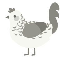 Ash Lace, a white and ash chicken with a half-lace pattern