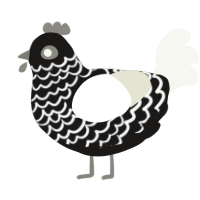 Brad, a sable and white chicken with a lace pattern