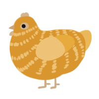 (unnamed), a orange and honey chicken with a bar pattern