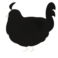 Cephalalgiaphobia, a sable and black chicken with a double-lace pattern