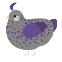 A ash and overcast chicken with a speckle pattern