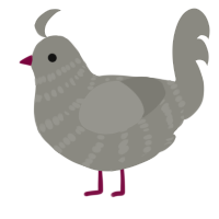 Emo Girl, a ash chicken with a bar pattern