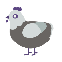 Ghost, a grey and silver chicken with a head pattern