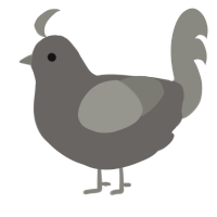 A grey and ash chicken