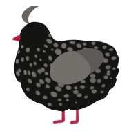 A black and grey chicken with a speckle pattern