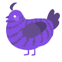 blurple 1m zw, a blurple and overcast chicken with a bar pattern