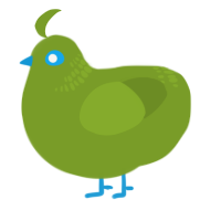 A chartreuse chicken with a neck-band pattern