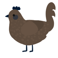A bark chicken with a speckle pattern